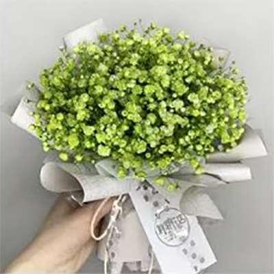 Hârtie de împachetat cu buchet cu textura simplă